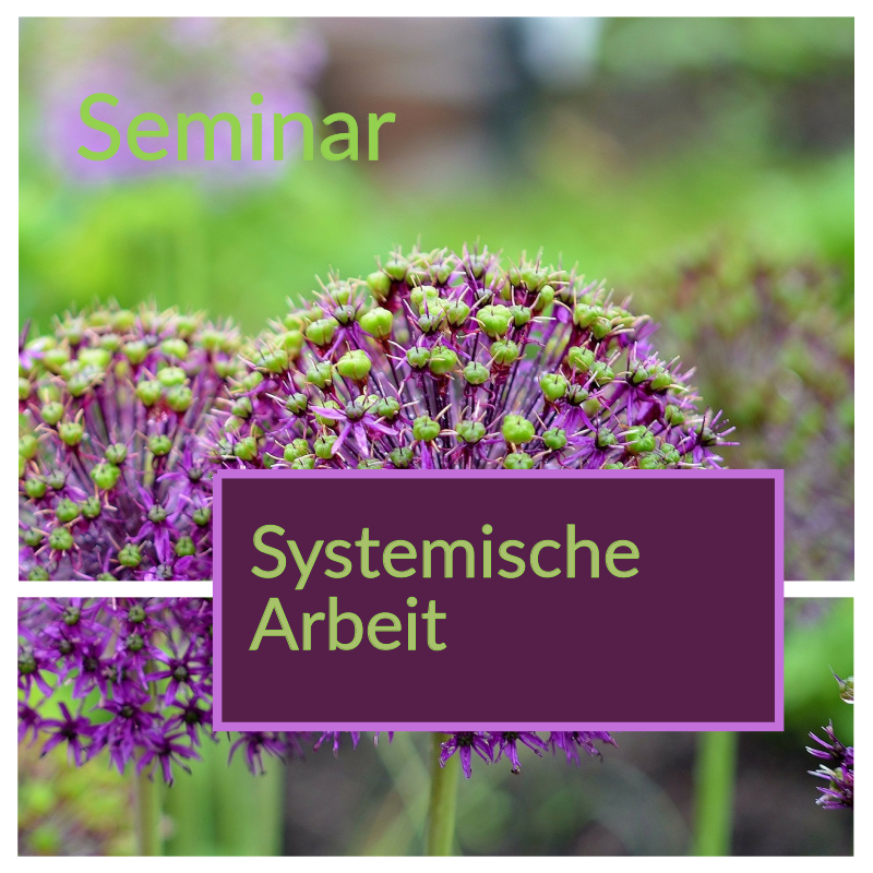 systemischearbeit_web_800x800.png